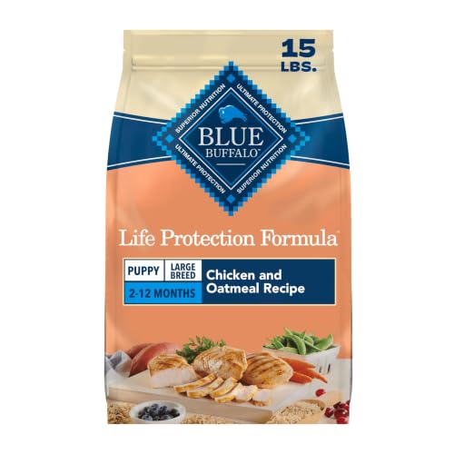 Blue Buffalo Life Protection Formula Chicken Large Puppy Dog Food, 15 lb - image 1