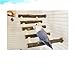 Parrot Bird Swing Wooden Ladder, Cage Hanging Pet Cage Bird Climbing Step Ladders, Bird Wooden Platform Perch Playground Play Stands Toys for Parakeet Cockatiel Conures Lovebirds Budgie (Small)