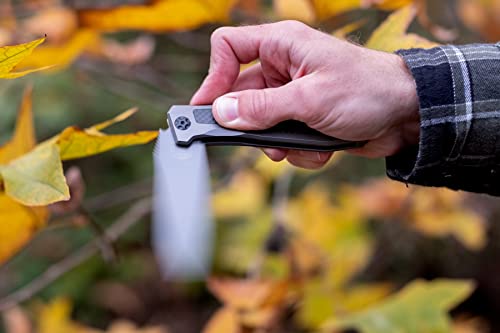 Off-Grid Knives - Scorpion Stratus V2 With M390 Blade Steel, Dlc Gunmetal Gray Coating, Titanium Scales, Carbon Fiber Inlays, Deep Carry Left And Right (Slate Gray V2) #TOP3