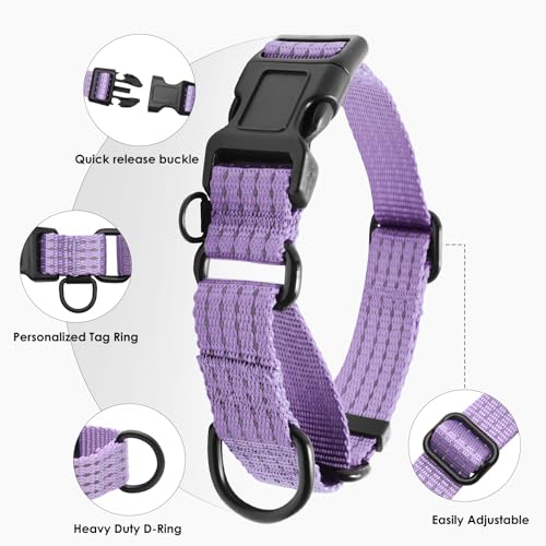 Image of Martingale Dog Collar, Reflective No Pull with Buckle, Lavender, S | Escape Proof without choking ,Training Collar with Quick Release Buckle, Adjustable Heavy Duty Nylon collars for S M L Dogs