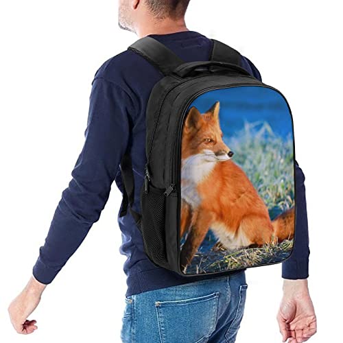 Mochila escolar de zorro con efecto 3D cool y gran capacidad 5