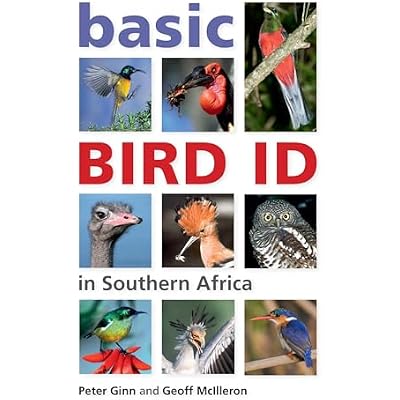 Basic Bird ID in Southern Africa