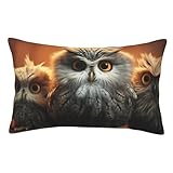 Velvet Pillowcase Standard Size 20'x30', Super Soft Fuzzy Pillow Case with Hidden Zipper, Luxury Plush Pillow Shams for Bedroom, Sofa, Couch Cute Owl Baby Pillow Cover