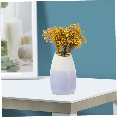 Ramo de 6 Flores Secas Naturales Babys Breath miniatura 6