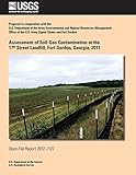 Assessment of Soil-Gas Contamination at the 17th Street Landfill, Fort Gordon, Georgia, 2011
