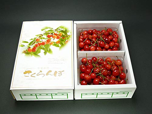 �������� �y�ꈤ�_���z ������ 1kg �G L �R�`�������s�s6/���{�`6/���{�̏o�ׁt