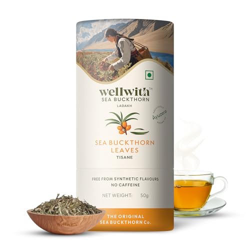 Image of Wellwith (Ayuzera) Sea Buckthorn Raw Leaves Tea | Himalayan Herbal Leaf Tea | Good for Skin, Immunity & Detox | Pure & Natural | 50g (Pack of 1)