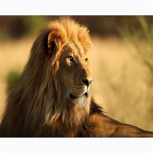 Broderie Point De Croix Lion : Réussir sa Décoration Murale Faite Main