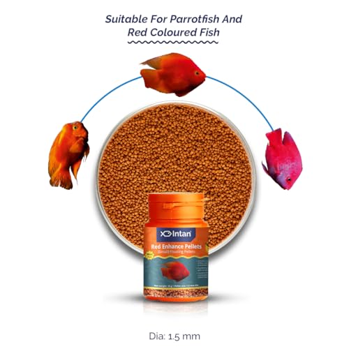 Image of Intan Red Enhance Pellets (Small 1.5mm Floating) | 30gm - Highly Nutritious Ornamental Fish Food for Parrotfish & Red Coloured Fish | Growel Feeds