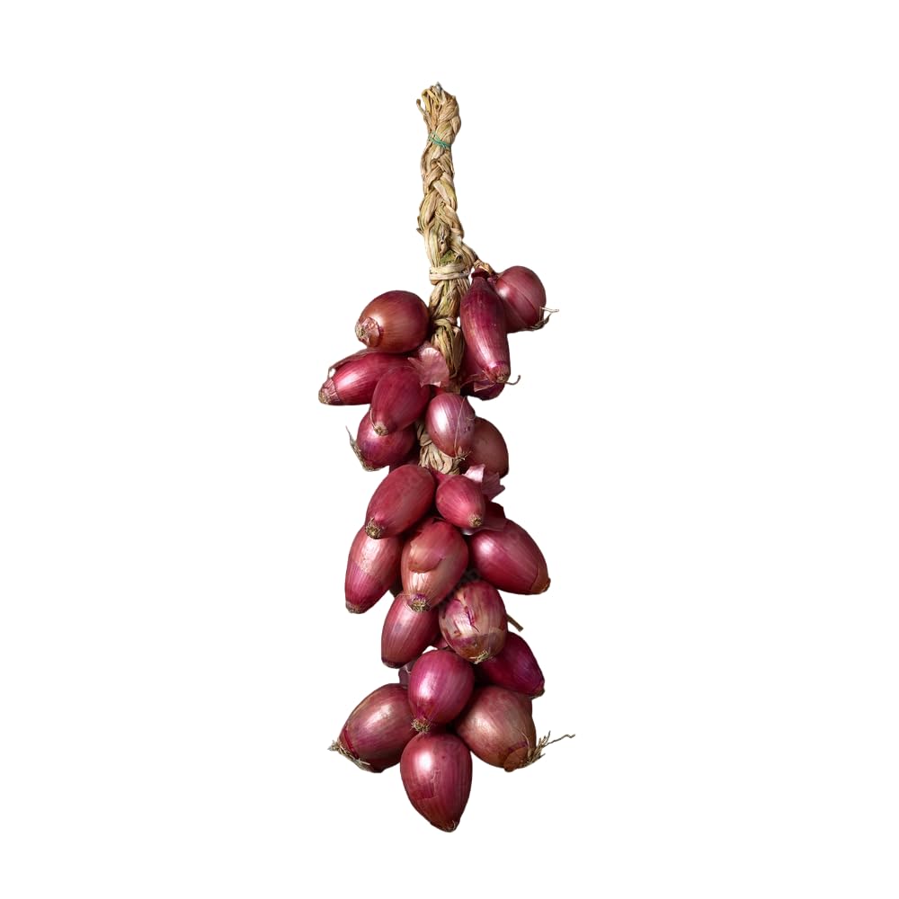 Zwiebeln von Tropea Kg. 2,5 - Angebot 5 Kg