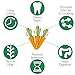 Exotic Nutrition Carrot Mini's - Fun & Unique Chew for Rabbits, Guinea Pigs, Hamsters, Chinchillas, Etc.