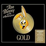 jive bunny & the mastermixers - that's what i like  Gold