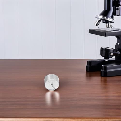 GETAJGHSD 20pcs G Double Hooked Calibration Weights for Lab and School Use, Iron Material with Precision Calibration and Secure Weight Placement, for General Science Experiments - Image 5
