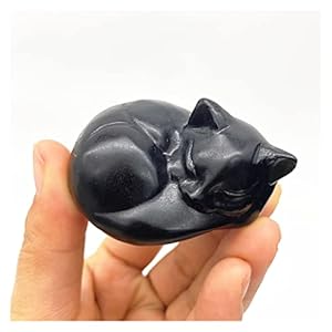 ERTEYIN Obsidian Kristall Schlafkatze 1 PC