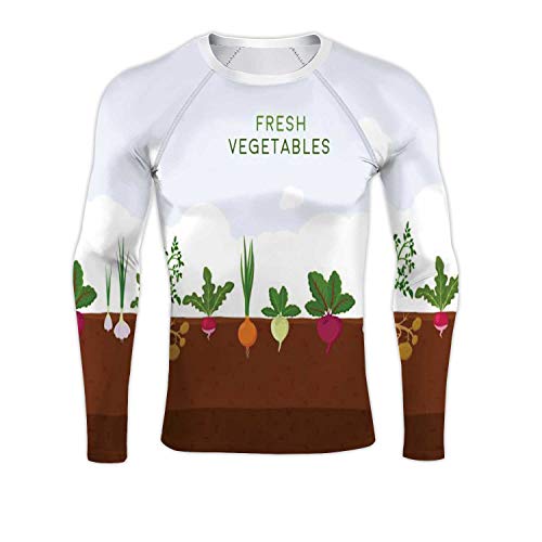Fresh Organic Vegetable Garden on Blue Sky Background.Garden with Different Kind Root Veggies.Set