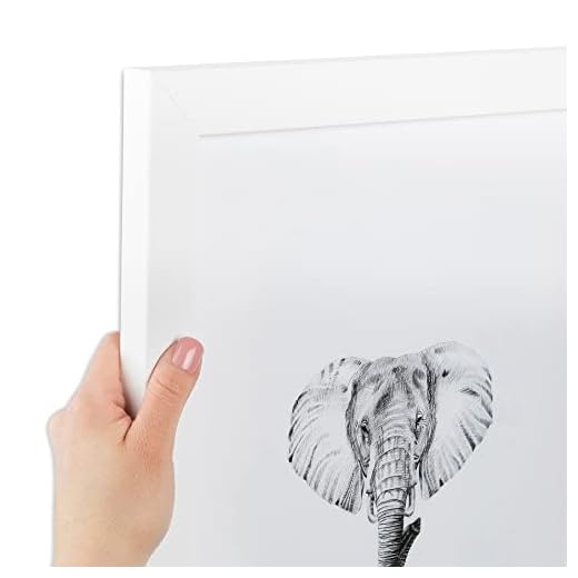 ArtToFrames 22x30 inch Satin White Frame Picture Frame, 2WOMFRBW26074-22x30