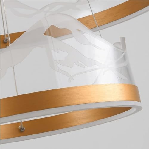 Lustre annulaire LED à intensité variable et suspension réglable LWX 60 cm - 2