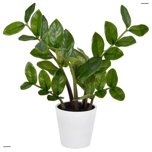 Zamioculca No Vaso Planta Artificial Com Toque Real Com 6 Galhos