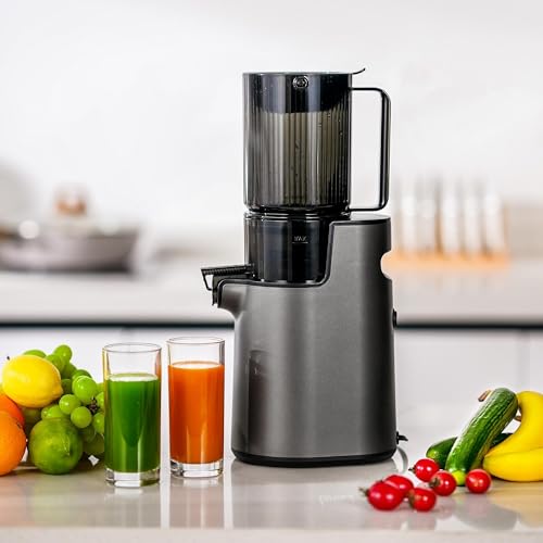 Furrnook Slow Masticating Juicer, Cold Press Juicer with 4" Wide