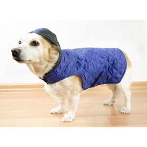 AQUATOLIA Dogs Clothing, hond regenjas – Blauw