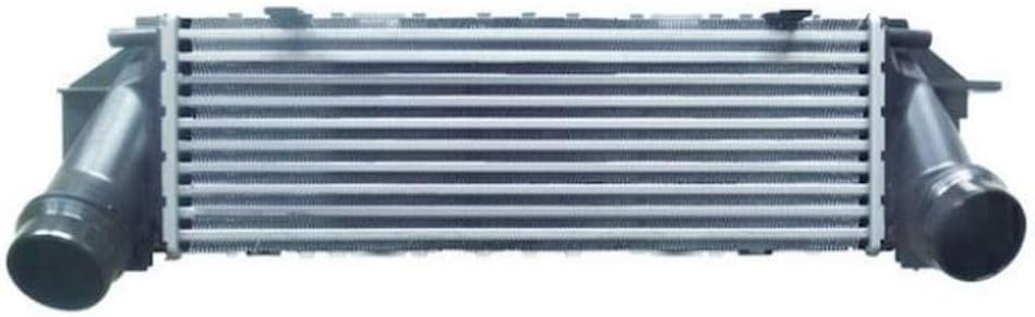 Intercooler for BMW for 528i 2012-2016 & xDrive 2012-2016 2.0L, Exhaustive QC