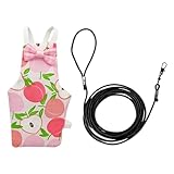 Étui de Rangement en – Boîte de Rangement à 24 emplacements, conteneur Transparent divisé pour Pierres précieuses, Longue durée, Plateau de vitrine | Solution de présentation de Collection de