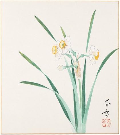 Hayashi Shunyuki Daffodil 6-331