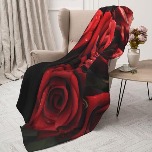 Garder au chaud votre lit avec la grande couverture roses rouges - 5