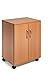 Durable 311547 Szafka biurowa 74/53 Closed (zamykana), w kolorze buku.