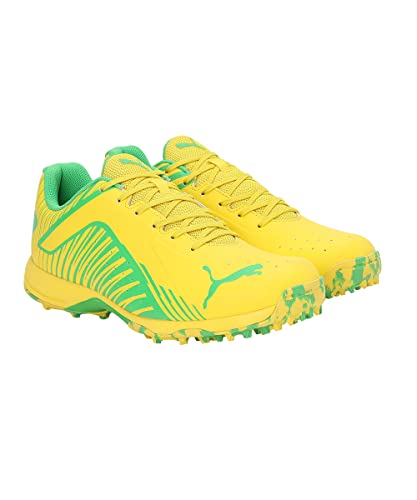 Image of Puma Men 22 FH Rubber Cricket Shoe