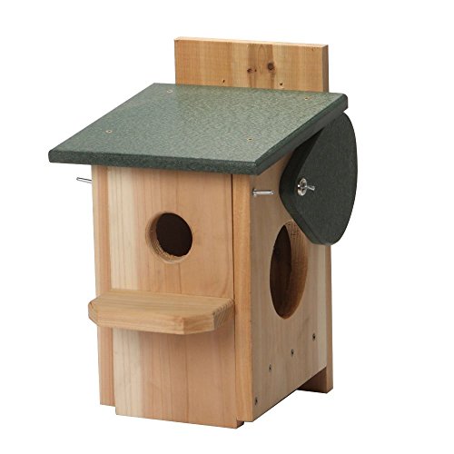 Fms Ravenox Sparrow And Starling Eliminator Trap | Starling Trap, Sparrow Trap | House Sparrow Trap For Eliminating Invasive, Non-Native Sparrows | Bird Trap With Sparrow Trap Door #TOP1