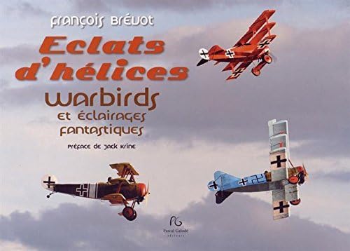 Eclats d'hélices : Warbirds et éclairages fantastiques