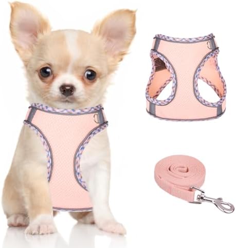 Dog Harness for Small Medium Dogs No Pull Adjustable Step in Puppy Harness and Leash Set,Reflective Breathable Mesh Pet Harnesses Soft Padded Vest for Dogs Easy to Put on (Pink, S)