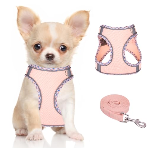 Doggiekit Hundegeschirr Kleine Hunde mit Leine, verstellbares reflektierendes Step in Welpengeschirr Leine, Atmungsaktives Mesh Hundegeschirr,weich gepolsterte Weste für extra kleine/mittelgroße Hunde