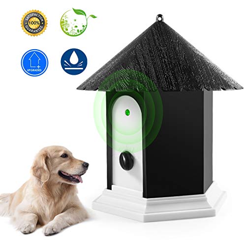 Best Bark Deterrents