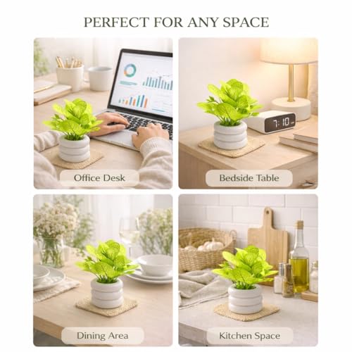 Image of Artificial Mini Potted Plant with Modern White Ceramic Zen Pot - Faux Greenery for Home Decor, Office Desk, Kitchen & Bedside - Realistic Lifelike Leaves, Small Decorative Indoor Plant for Gifting