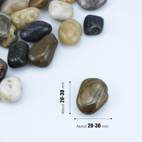 3 lb River Rocks for Succulent Plants,Decorative Rocks Bonsai Garden Pebbles,Aquarium Rocks Garden Landscaping Stones for Fish Tank,Plants, Vase Fillers (Multicolor, 3 lb) - Thumbnail 2
