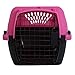 Aspen Pet Porter Travel Kennel (for Pets up to 15 pounds)