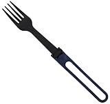 MSR Fork
