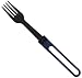 MSR Fork