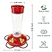 Urban Deco Glass Hummingbird Feeder for Outdoor Hanging Bird Feeder, 5 Feeding Port Bird Water Feeder, 10-Oz Nectar Capacity Mason Jar Hummingbird Feeder (Red - Pack of 1)