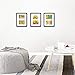 Golden State Art, 11x14 Black Photo Wood Collage Frame with Tempered Glass and White Mat displays (2) 5x7 Pictures