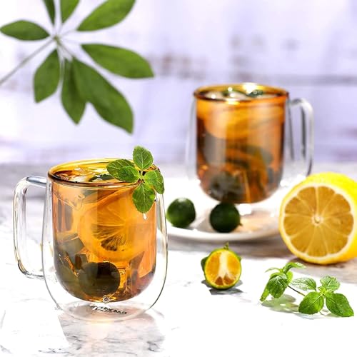 Image of Double Wall Glass Coffee Mugs - Glass Double Layer Tea & Coffee Cup Double Walled Glass Mugs for hot & Cold Drinks Coffee Tea Milk cappuchino Juice (240ML Mug, 2 Pieces) (MCV-9)