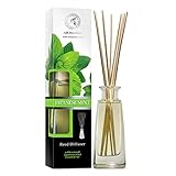 ambientador menta casero Acertar con el aroma de su hogar es la forma de hacer que su casa sea acogedora y sofisticada. Las fragancias adecuadas hacen que su entorno sea aromático y le den una sensación de mimo.
