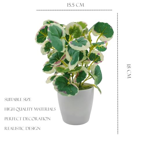 Image of KARP Artificial Potted Plants, Begonia Flower Plant with White Pot Home Decor, Plants for Living Room, Office Desk & Bathroom, Decorative (Small-Plant-6)