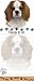 "King Charles Cavalier Magnetic List Pads" Uniquely Shaped Sticky Notepad Measures 8.5 by 3.5 Inches