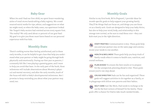 Rockridge Press Kulp, Adrian We'Re Parents! The First-Time Dad'S Guide To Baby'S First Year: Everything You Need To Know To Survive And Thrive Together thumb #6