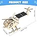 Imagen de DIY Aviones de energía Solar de Madera Modelo de Manualidades de Juguete Educativo Regalo Maravilloso para niños