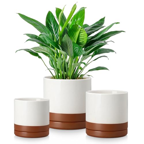 vancasso Ceramic Plant Pots, 3 Piece Planters for Indoor Plants, 4.25+5.25+6.25 Inch Flower Pots with Drainage, Plant Pots Indoor for Succulent, Pothos, Snake Plant and Money Tree, Etc (Khaki)