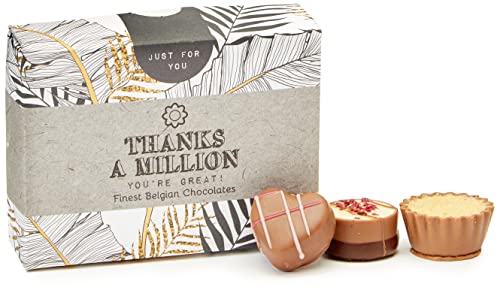 Just for You Thanks a Million Chocolate Box 86 g